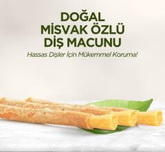 Nessiworld Eyüp Sabri Tuncer Doğal Diş Macunu 90 Gr Misvak Özlü