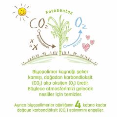 Nessiworld Sleepy Bio Natural Islak Havlu Mendil 3x40 120 Yaprak