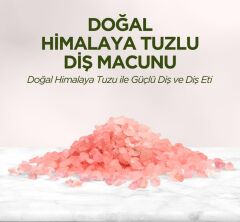 Nessiworld Eyüp Sabri Tuncer Doğal Diş Macunu 90 Gr Himalaya Tuzlu