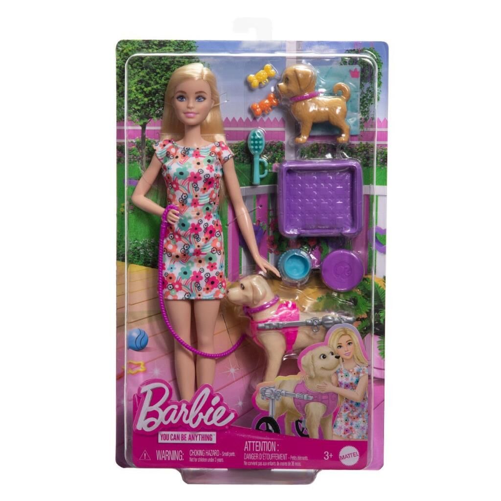 Nessiworld HTK37 Barbie ve Engelli Köpeği Oyun Seti