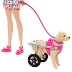 Nessiworld HTK37 Barbie ve Engelli Köpeği Oyun Seti