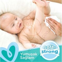 Prima Pampers Sensitive Hassas Islak Bebek Havlusu 52x12 Adet (624 Yaprak)